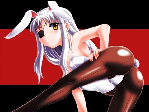 うさ耳が可愛い女の子の二次エロ画像②　100枚 67
