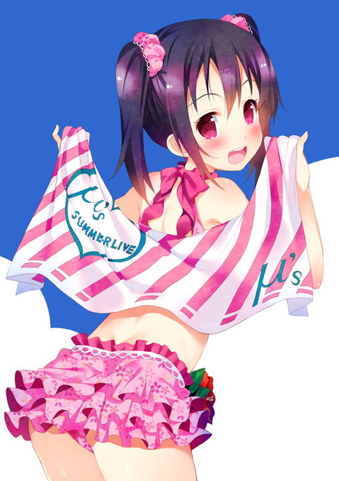 【ラブライブ!】矢澤にこの二次エロ画像　100枚 26