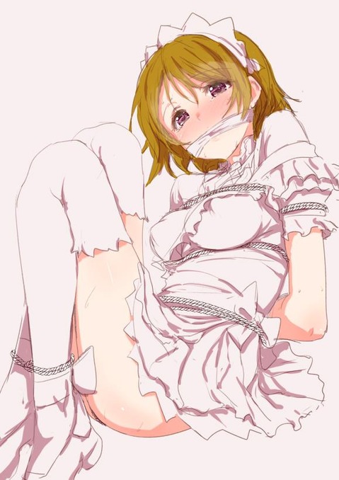 【ラブライブ!】小泉花陽の二次エロ画像　100枚 99
