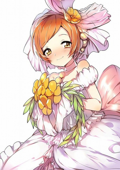 【ラブライブ!】星空凛の二次エロ画像　100枚 95