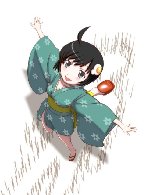 【物語シリーズ】阿良々木月火の二次エロ画像　100枚 77