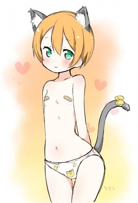 【ラブライブ!】星空凛の二次エロ画像　100枚 31