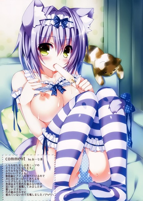 猫耳が可愛い女の子の二次エロ画像④　100枚 59
