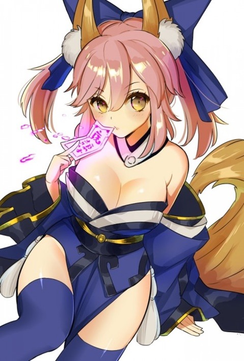 【Fate】キャスターの二次エロ画像　100枚 14