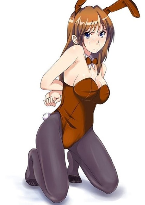 うさ耳が可愛い女の子の二次エロ画像④　100枚 33