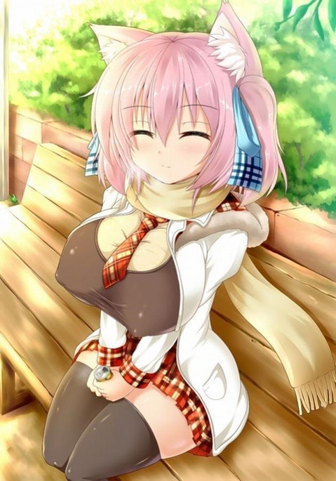 猫耳が可愛い女の子の二次エロ画像②　100枚 5