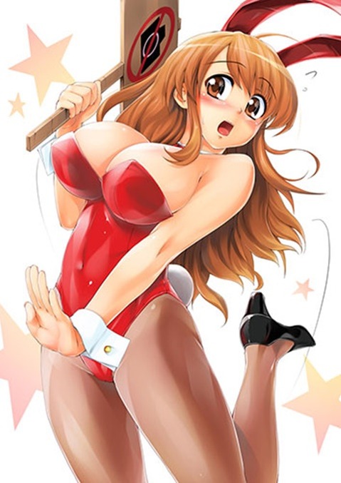 うさ耳が可愛い女の子の二次エロ画像⑤　100枚 97