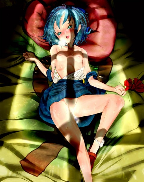 【東方】チルノの二次エロ画像②50枚【東方Project】 31