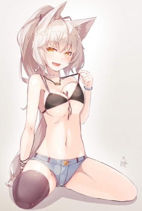 猫耳が可愛い女の子の二次エロ画像②　100枚 33