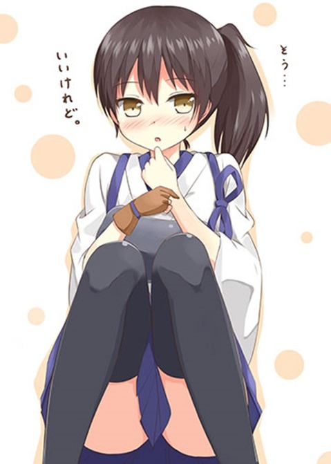 【艦これ】加賀の二次エロ画像　100枚【艦隊これくしょん】 40