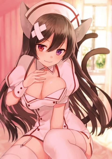 猫耳が可愛い女の子の二次エロ画像①　100枚 41