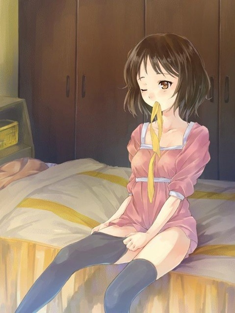 ニーソ・ニーハイを履いた女の子の二次エロ画像⑤　100枚 24