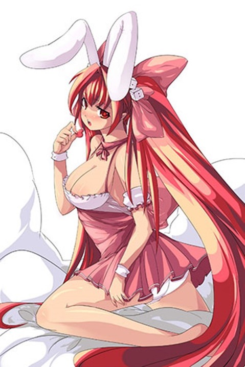 うさ耳が可愛い女の子の二次エロ画像⑤　100枚 93