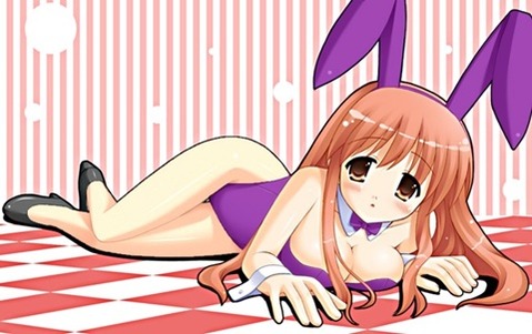 うさ耳が可愛い女の子の二次エロ画像②　100枚 31