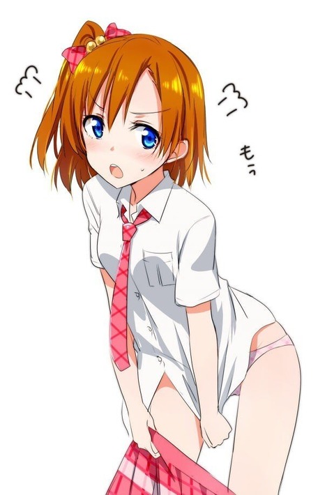 【ラブライブ！】高坂 穂乃果の二次エロ画像　50枚 9
