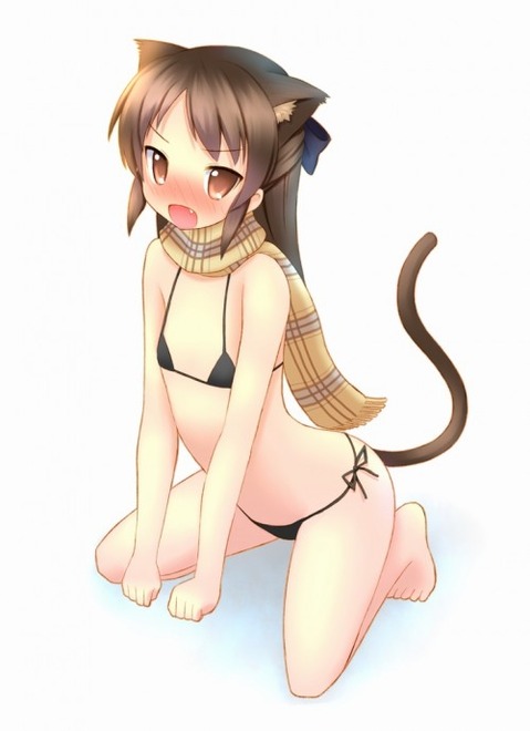 【アイマス】橘ありすの二次エロ画像　50枚【アイドルマスター】 5