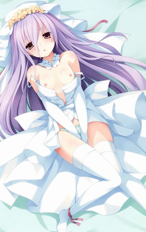貧乳・微乳・ちっぱいな女の子の二次エロ画像⑲　25枚 6