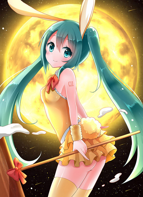 【ボーカロイド】初音ミクの二次エロ画像②　50枚【VOCALOID】 9
