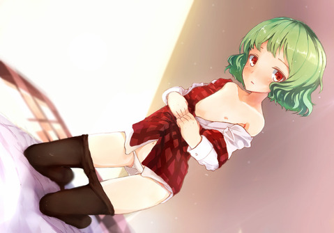 【東方】風見幽香の二次エロ画像　100枚【東方Project】 57