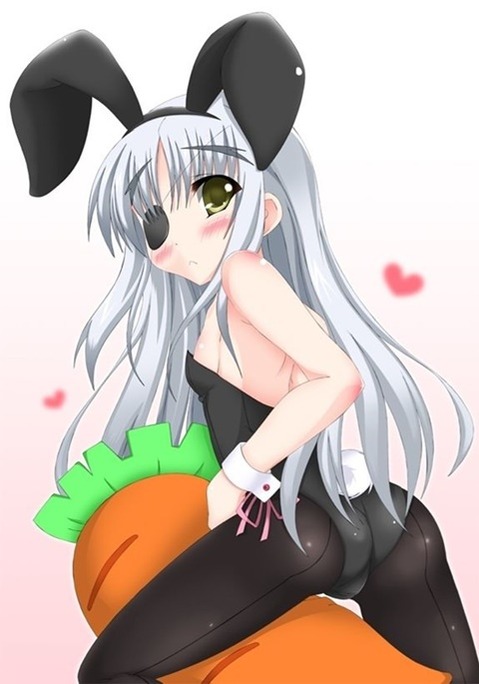 うさ耳が可愛い女の子の二次エロ画像④　100枚 30