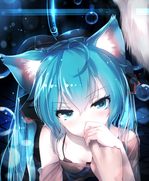 【ボーカロイド】初音ミクの二次エロ画像②　50枚【VOCALOID】 37