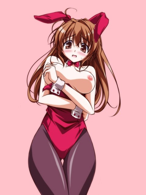 うさ耳が可愛い女の子の二次エロ画像①　100枚 97