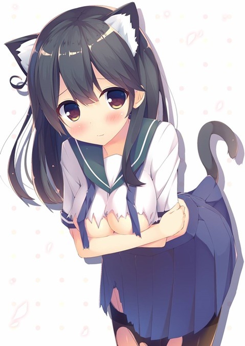 猫耳が可愛い女の子の二次エロ画像⑤　100枚 64