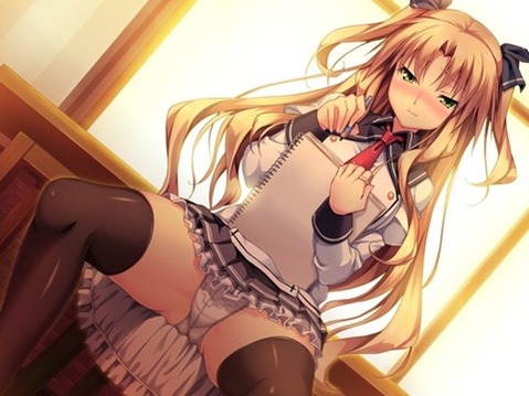 ニーソ・ニーハイを履いた女の子の二次エロ画像⑦　100枚 40