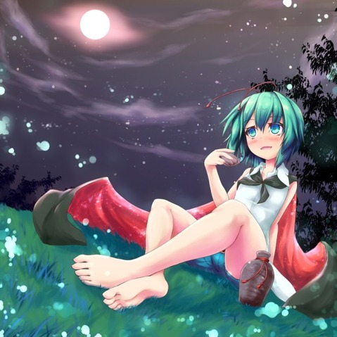 【東方】リグル・ナイトバグの二次エロ画像②　100枚【東方Project】 76