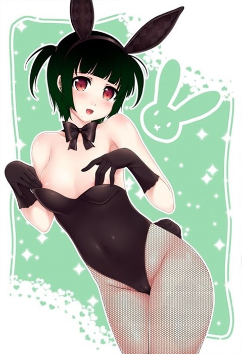 うさ耳が可愛い女の子の二次エロ画像⑤　100枚 21
