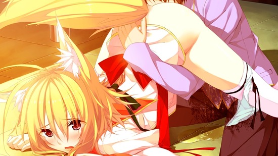 【二次エロ】狐耳な女の子とHなことをしている画像が見たい！ 15