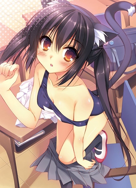 猫耳が可愛い女の子の二次エロ画像②　100枚 15