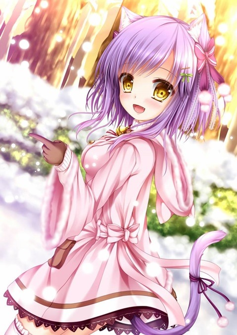 猫耳が可愛い女の子の二次エロ画像④　100枚 79