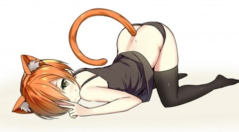 猫耳が可愛い女の子の二次エロ画像②　100枚 47
