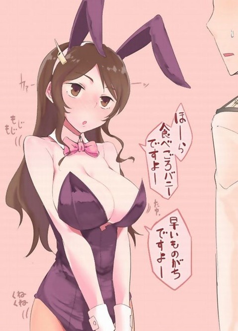 うさ耳が可愛い女の子の二次エロ画像④　100枚 48