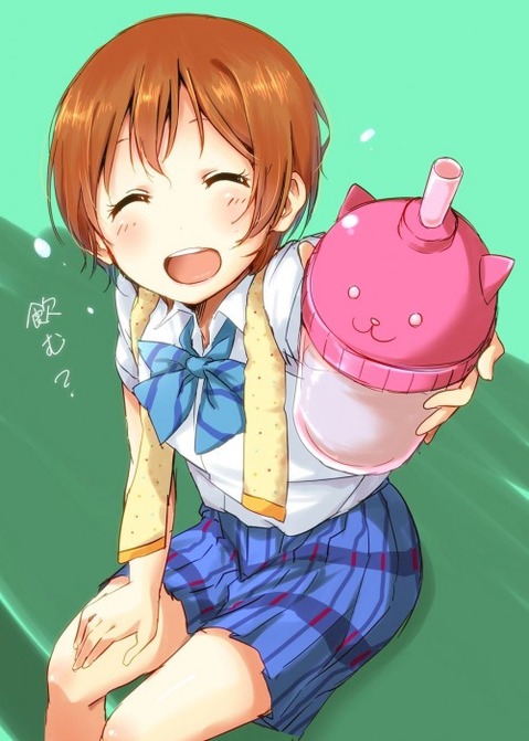 【ラブライブ!】星空凛の二次エロ画像　100枚 39