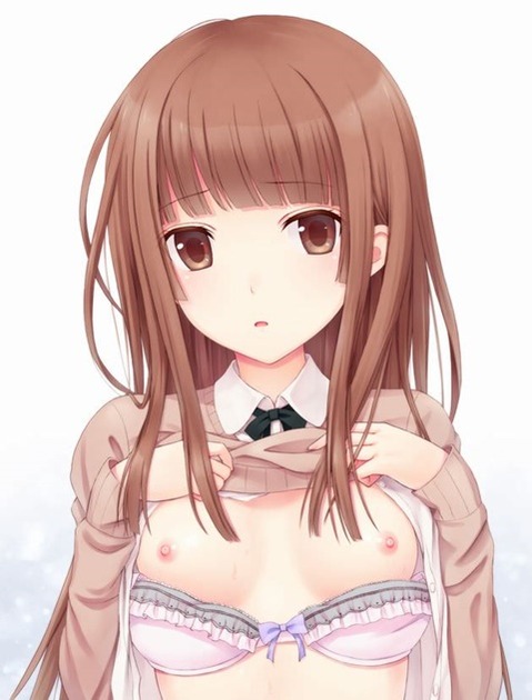 貧乳・微乳・ちっぱいな女の子の二次エロ画像㉛　25枚 13