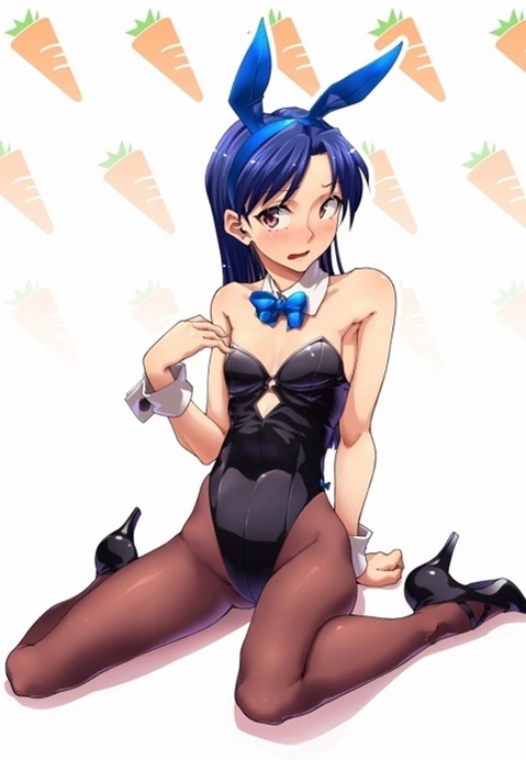 うさ耳が可愛い女の子の二次エロ画像①　100枚 47