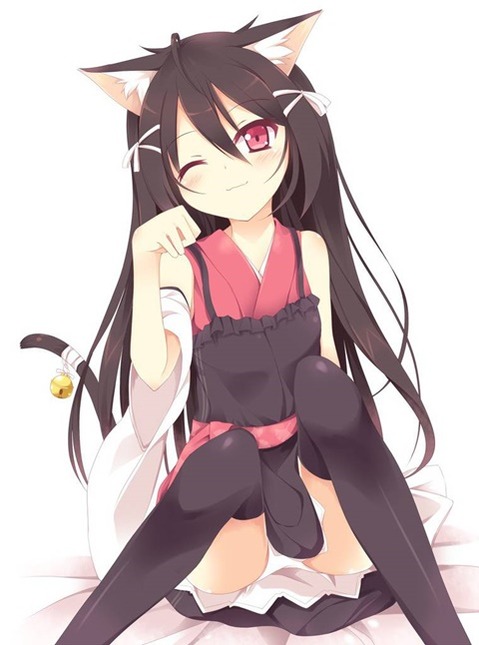 猫耳が可愛い女の子の二次エロ画像②　100枚 76