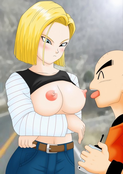 【ドラゴンボール】18号の二次エロ画像①　100枚【DRAGON BALL】 2