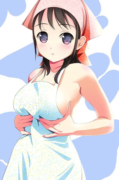 裸エプロンがエロくて仕方ない二次エロ画像⑱　25枚 23