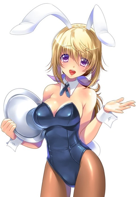 うさ耳が可愛い女の子の二次エロ画像④　100枚 64