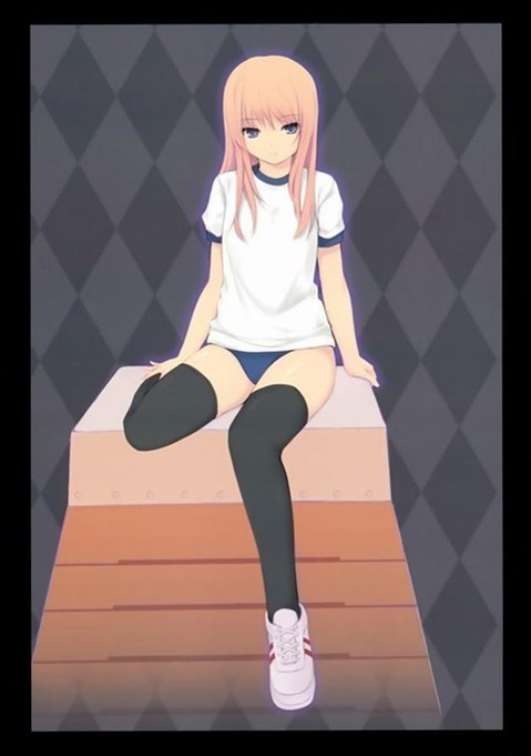 ニーソ・ニーハイを履いた女の子の二次エロ画像②　100枚 15