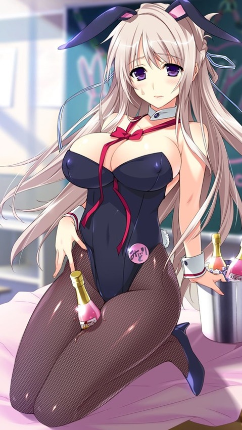 うさ耳が可愛い女の子の二次エロ画像③　100枚 17