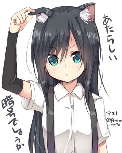 猫耳が可愛い女の子の二次エロ画像①　100枚 29