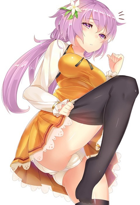 【東方】九十九姉妹(弁々・八橋)の二次エロ画像　100枚【艦隊これくしょん】 3