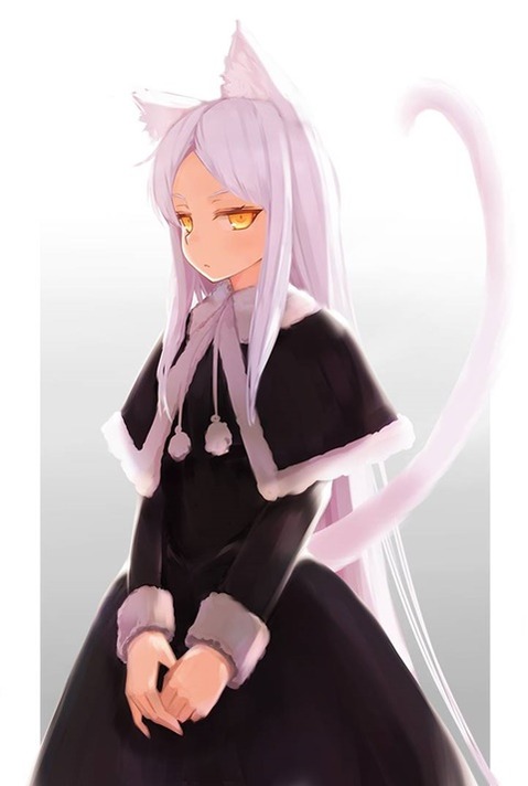 猫耳が可愛い女の子の二次エロ画像①　100枚 78