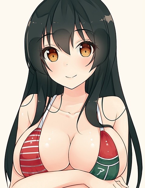 巨乳・爆乳すぎる女の子の二次エロ画像⑪　25枚 24
