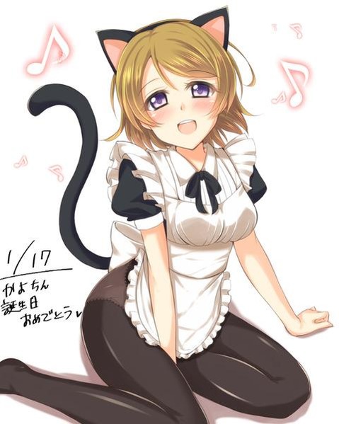 【ラブライブ!】小泉花陽の二次エロ画像　100枚 96