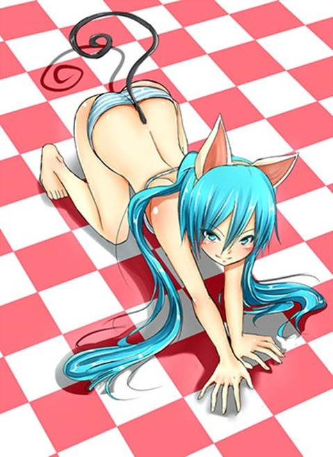 【VOCALOID】初音ミクの二次エロ画像　100枚【ボーカロイド】 23